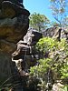 IMG_1335.JPG