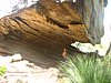 IMG_1379.JPG