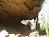 IMG_1383.JPG