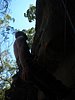 IMG_1432.JPG