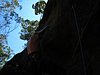 IMG_1434.JPG