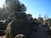 IMG_2287.JPG