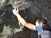 07-03-10Fontainebleau01.jpg