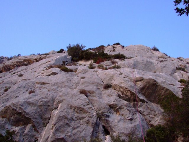IMG_230952.JPG