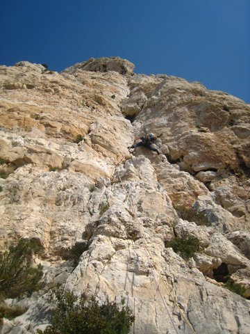 IMG_2435.JPG