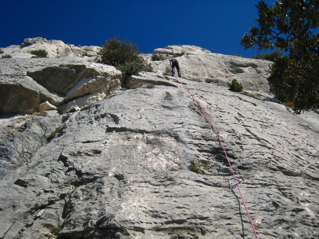 IMG_2477.JPG