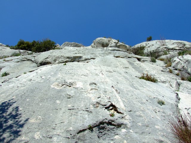 photo_0081.JPG