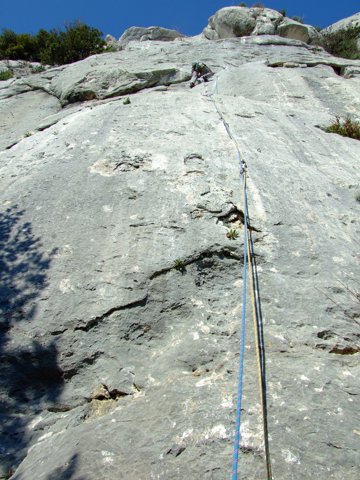 photo_0083.JPG