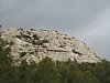 IMG_2309.JPG