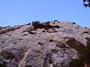 IMG_230952.JPG