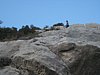 IMG_2321.JPG