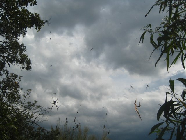 IMG_2590.JPG