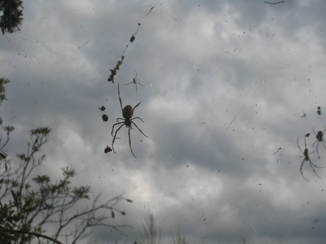 IMG_2591.JPG