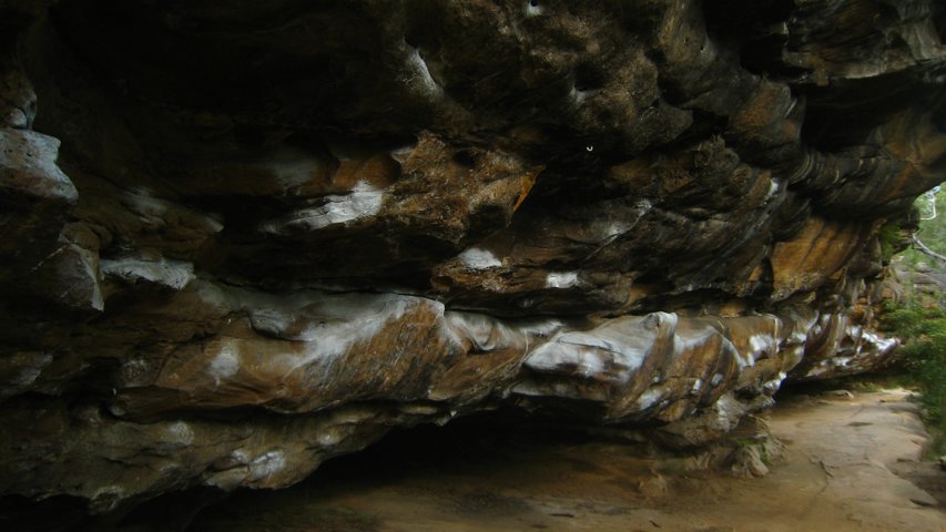 IMG_2594.JPG