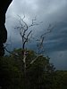 IMG_2601.JPG