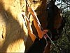 07-08-26Berowra02.jpg