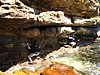 IMG_0474.JPG