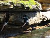 IMG_0493.JPG