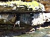 07-09-23DWS_LaPerouse02.jpg