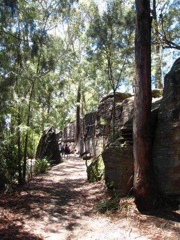 IMG_1009.jpg