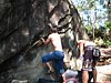 IMG_1017.jpg