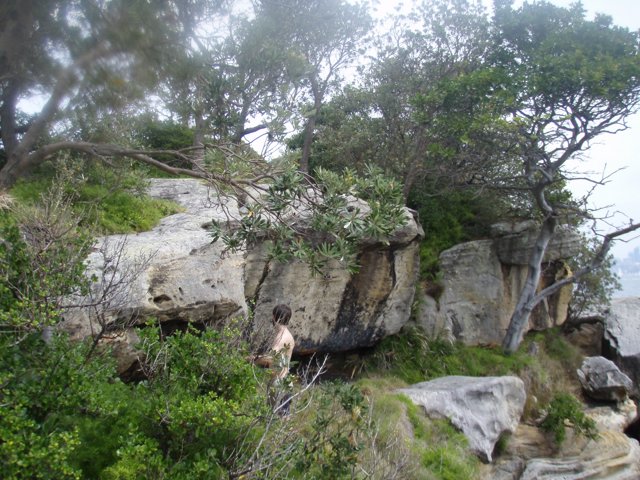 PA280106.JPG