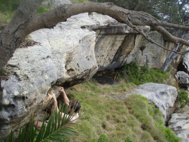 PA280109.JPG