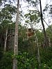 IMG_1206.jpg