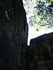 IMG_1362.jpg