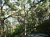 11-17Nowra01.avi.jpg