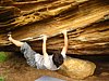 IMG_1395.jpg