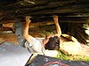 IMG_1431.jpg