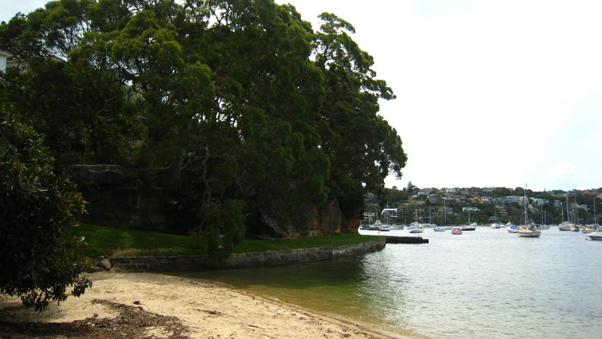 IMG_1689.jpg