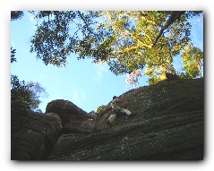 Climbing 2006